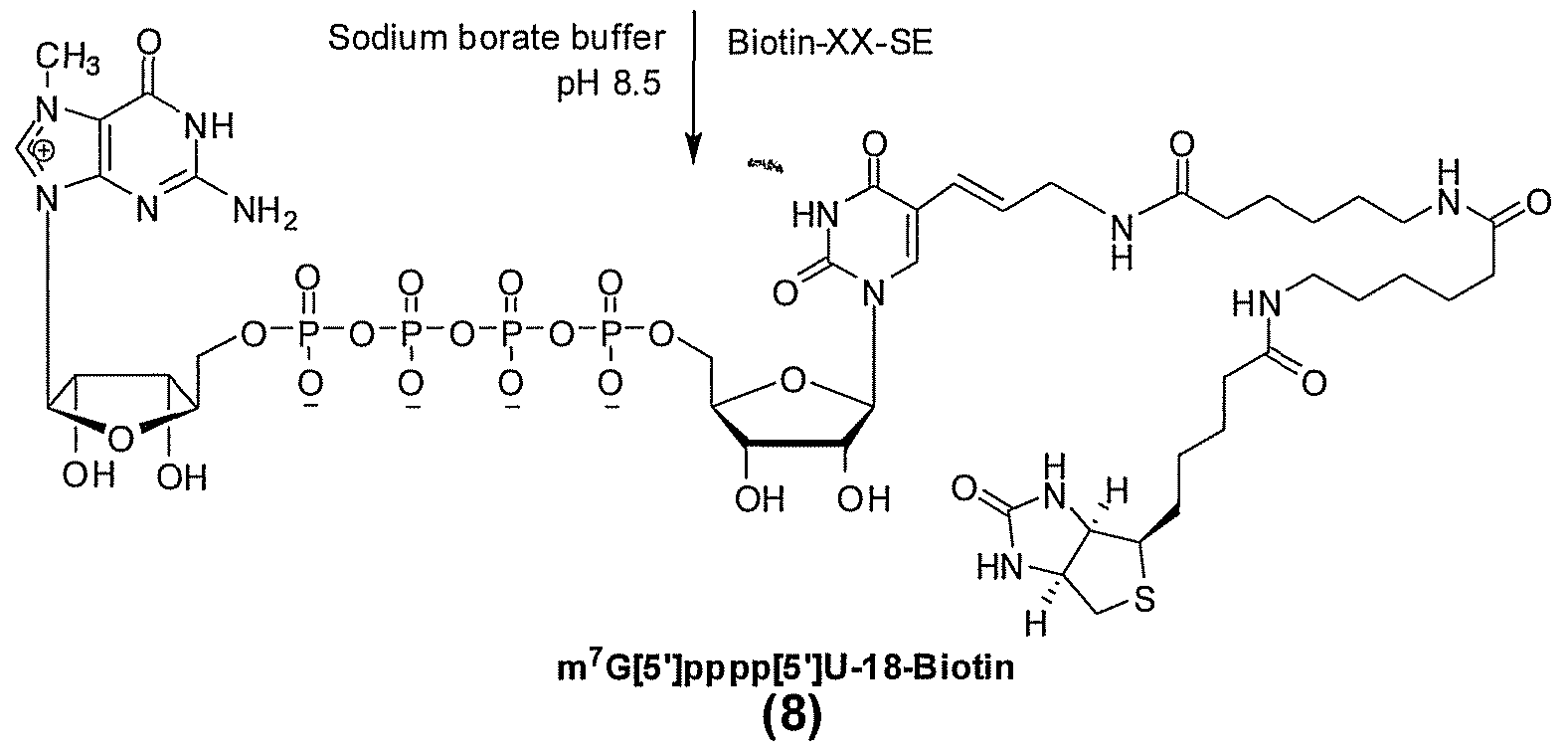 Figure imgf000034_0003