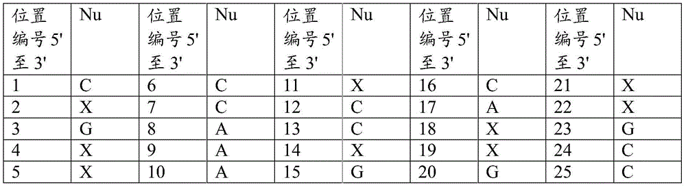 Figure BDA0002789291300000487