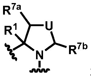 Figure imgf000007_0001