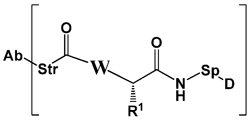 Figure imgf000011_0002
