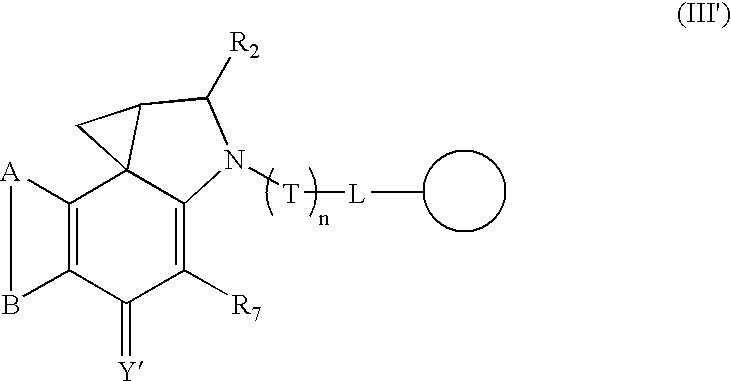 Figure US06909006-20050621-C00008