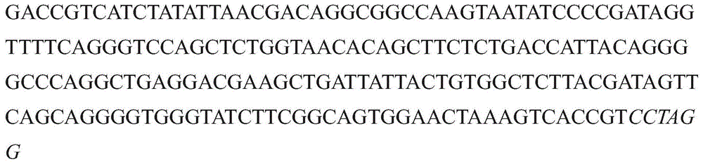 Figure GDA0003152722340000921