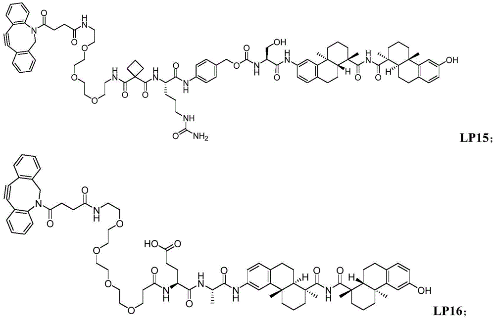 Figure BDA0003169092350000912