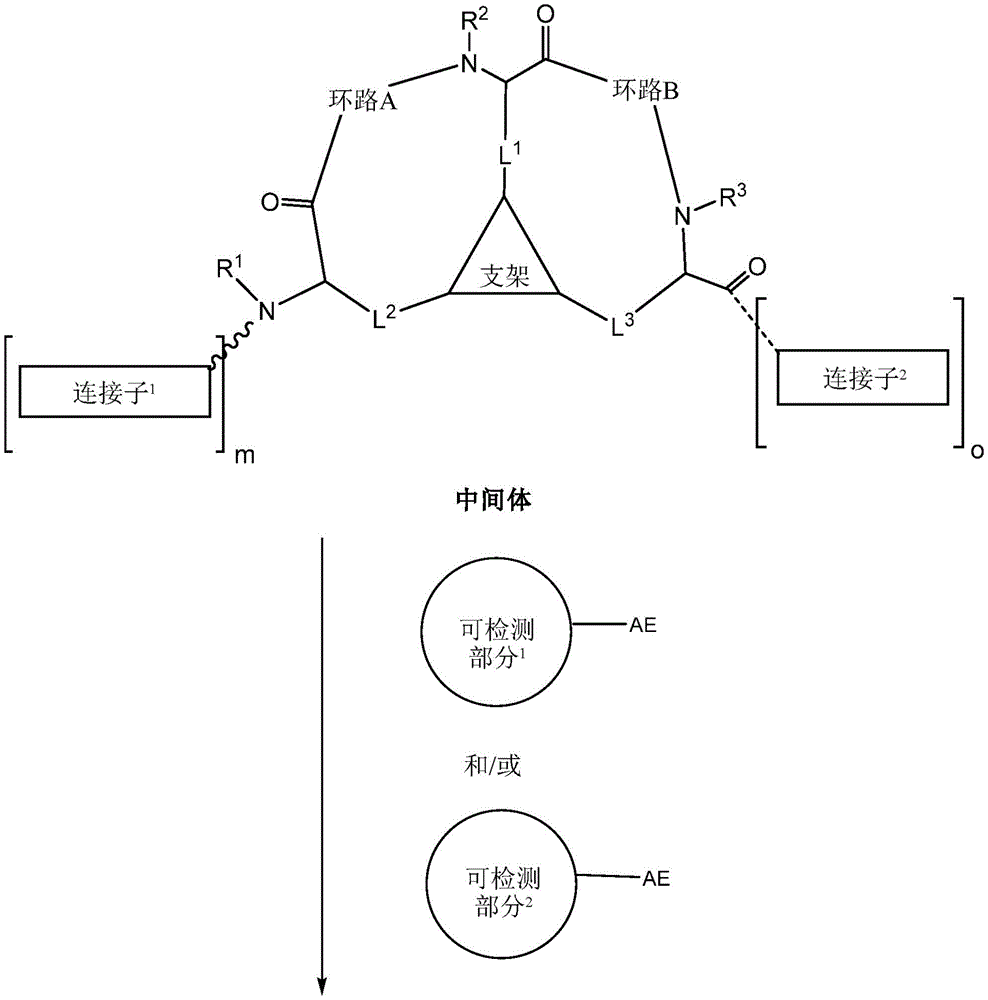 Figure BDA0002385583010001011