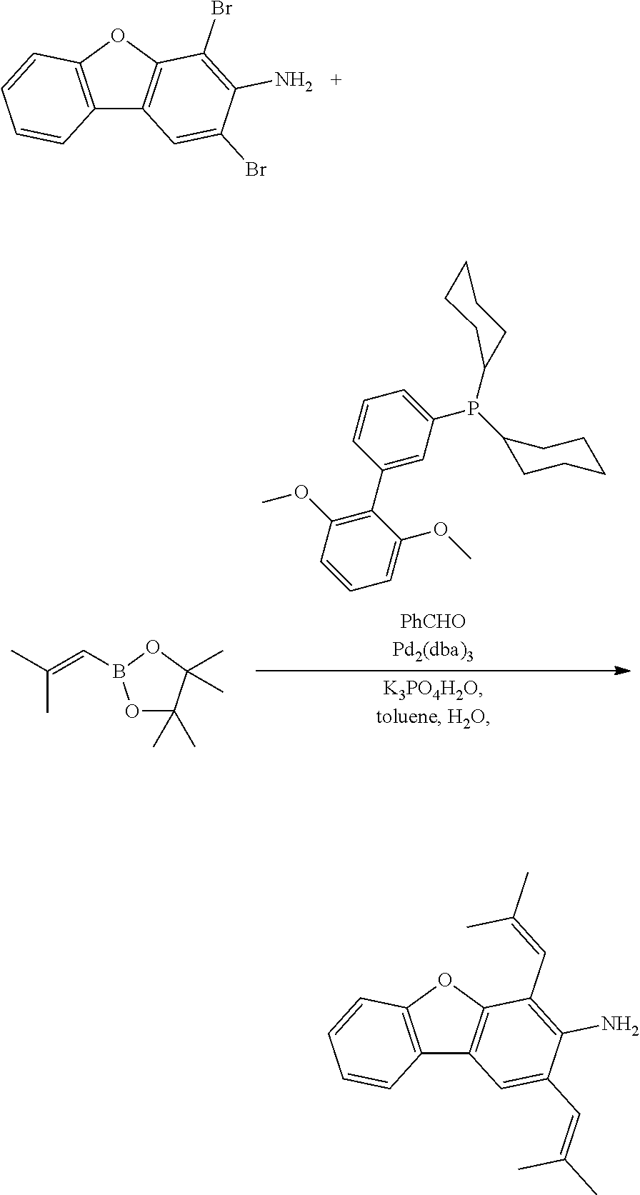 Figure US20110204333A1-20110825-C00235