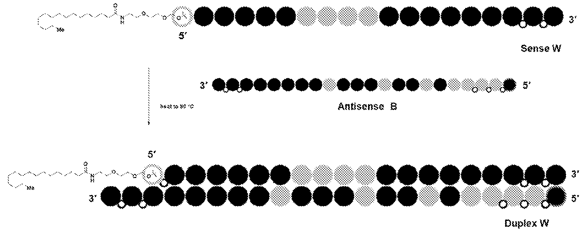 Figure imgf000262_0001