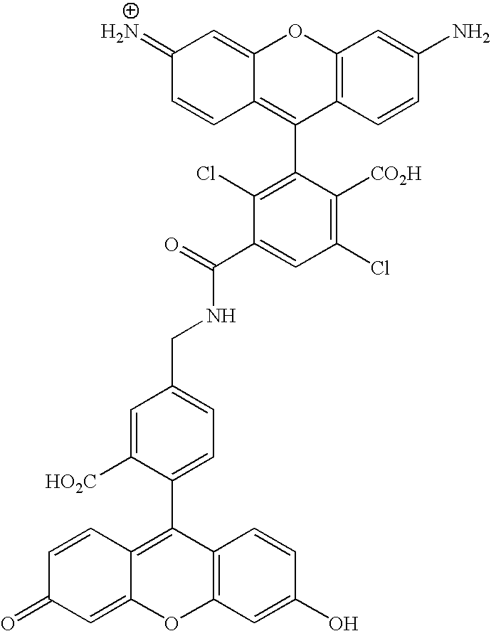 Figure US20070154927A1-20070705-C00091