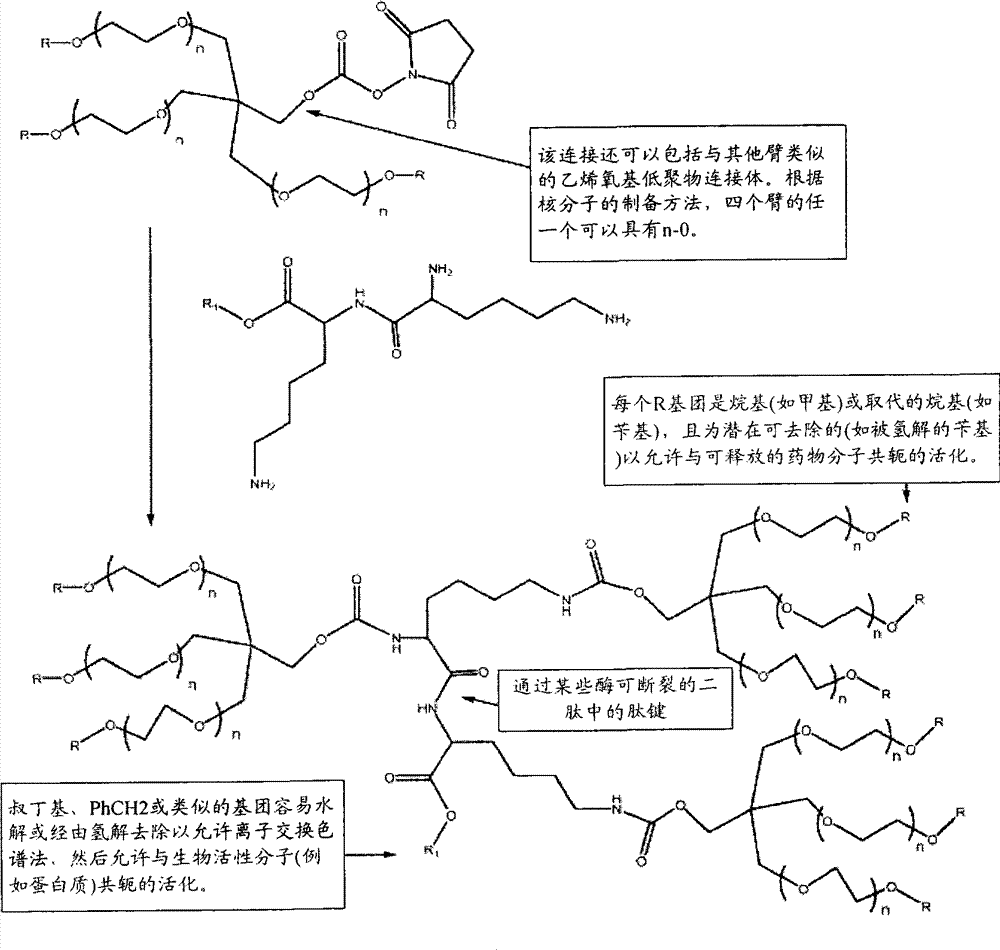 Figure G2007800134860D00421