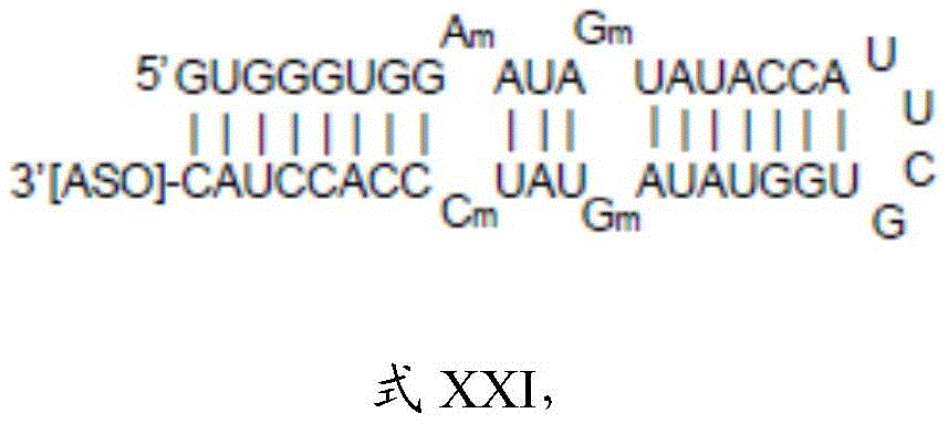 Figure BDA0003264319780000684