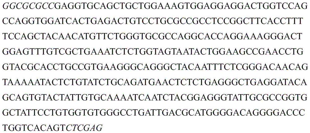 Figure GDA0003152722340000922