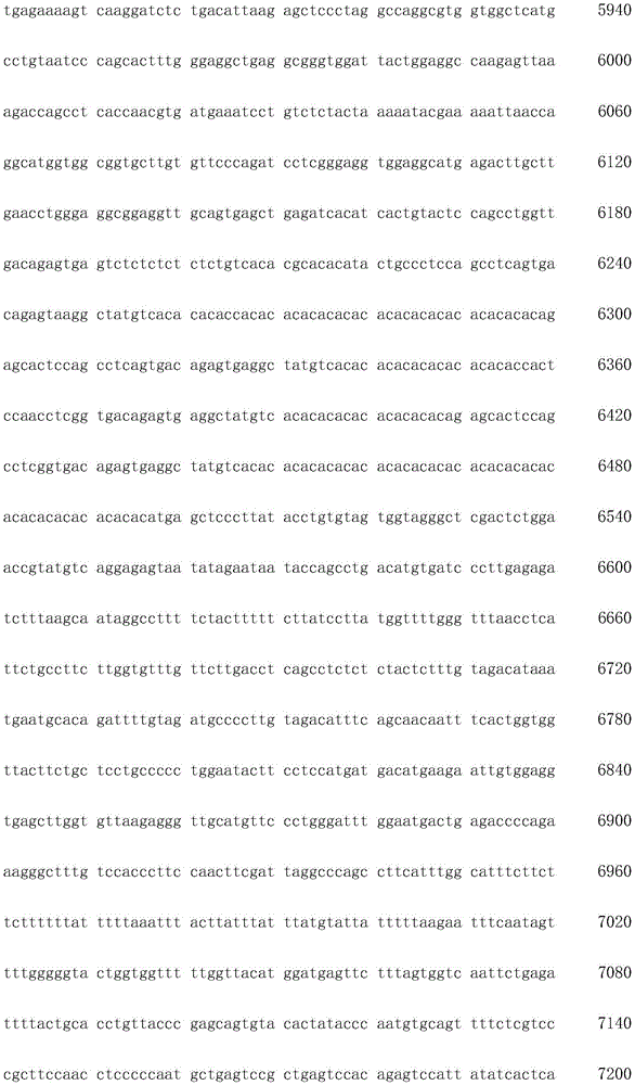 Figure IDA0003936212790000871