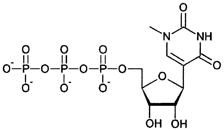 Figure imgf000133_0002