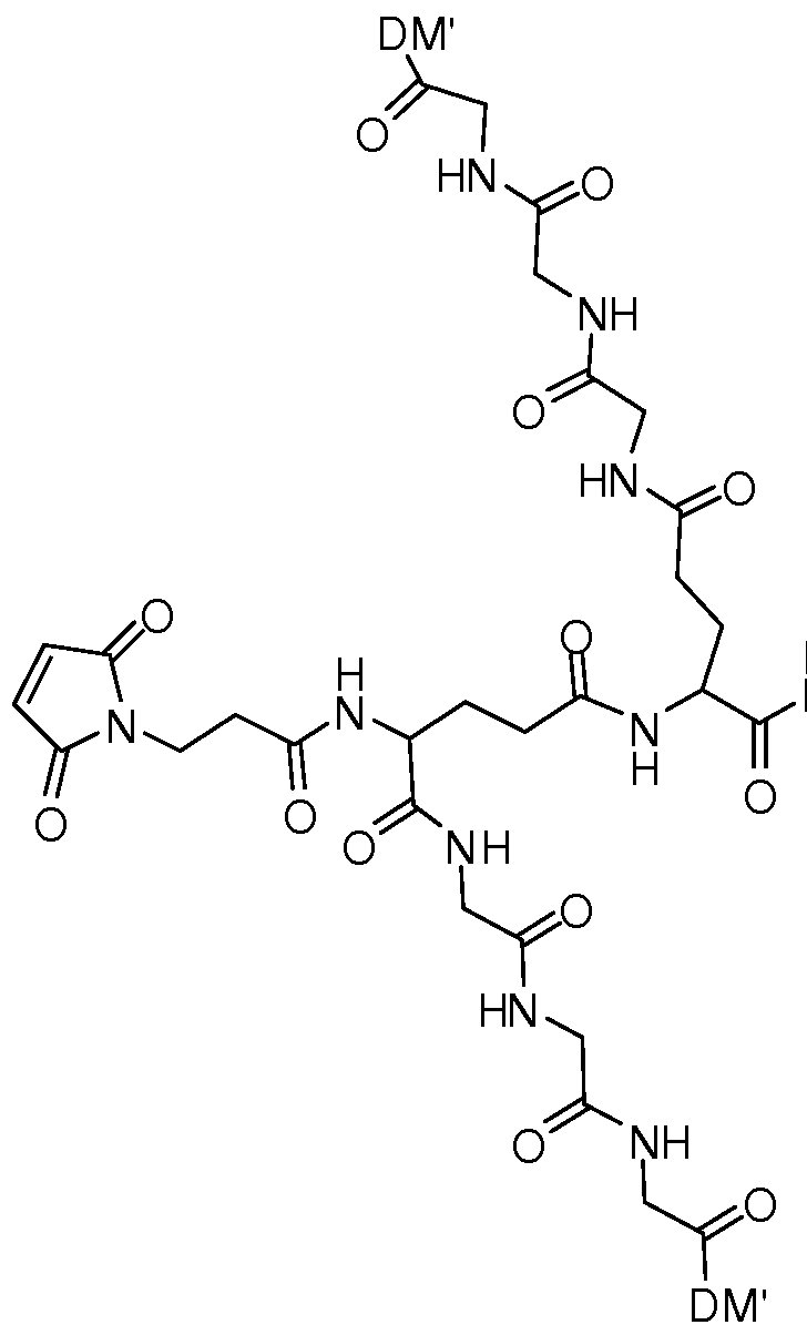 Figure imgf000173_0001