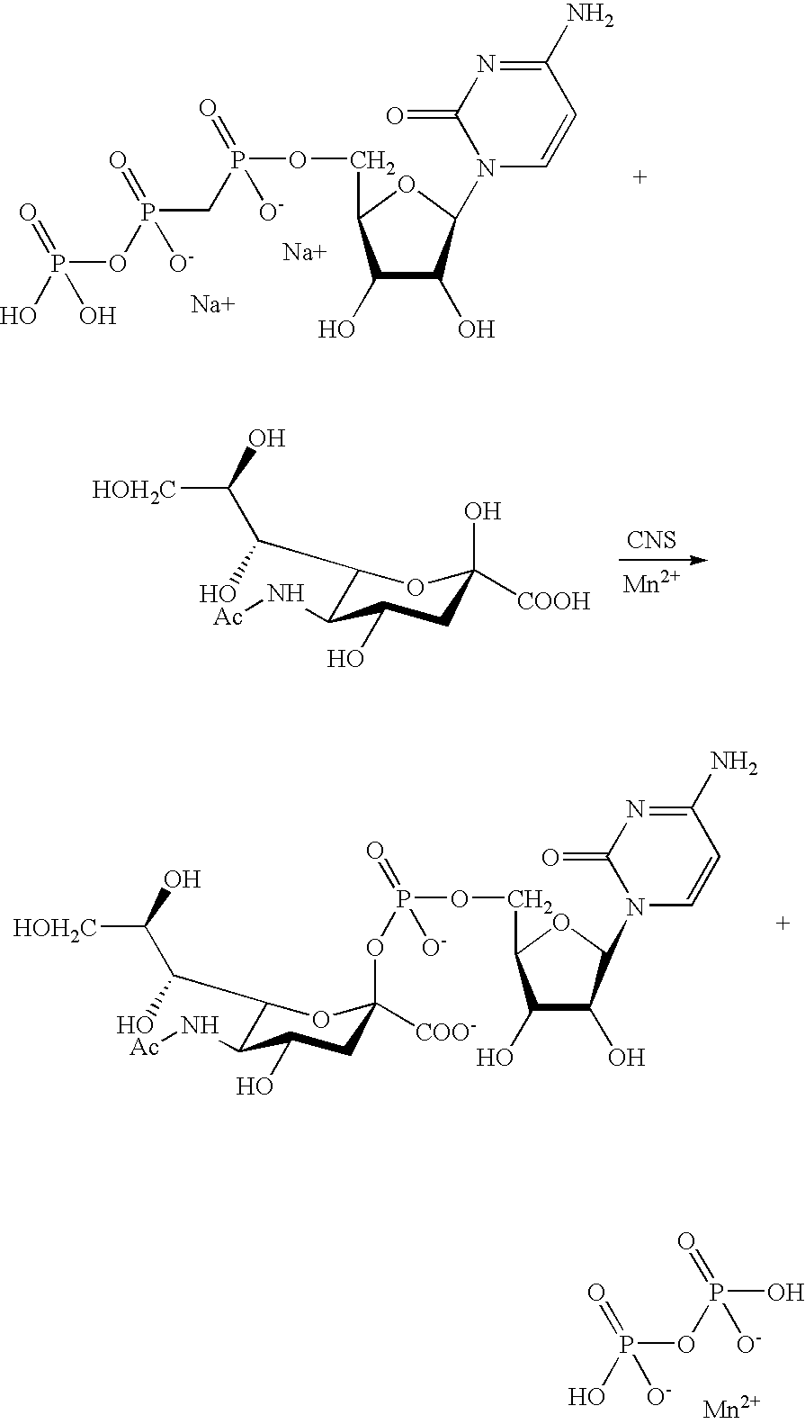 Figure US20090048440A1-20090219-C00010
