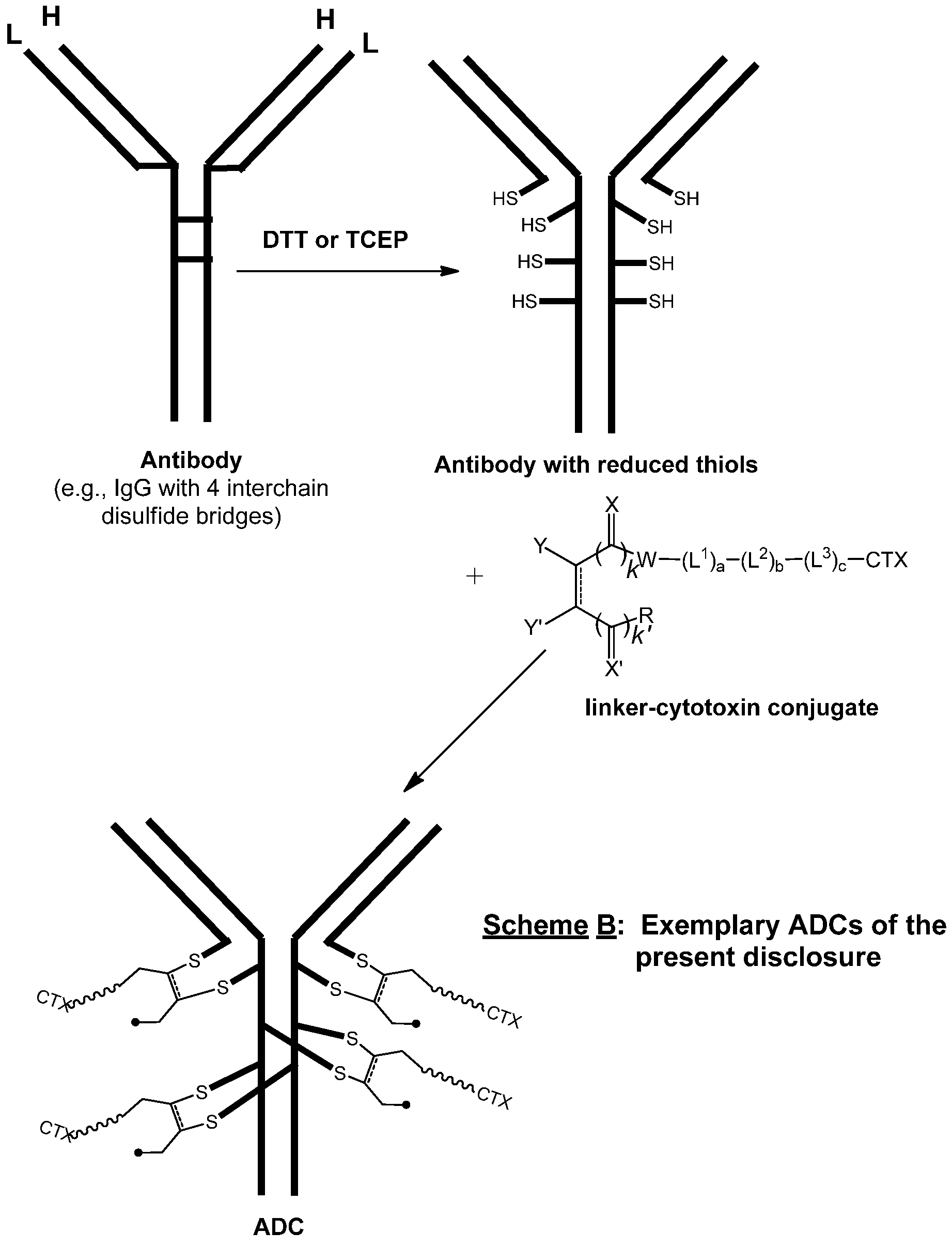 Figure imgf000029_0001