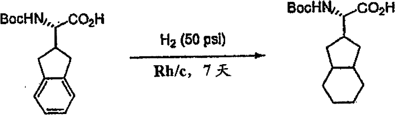 Figure BSA00000554725401072