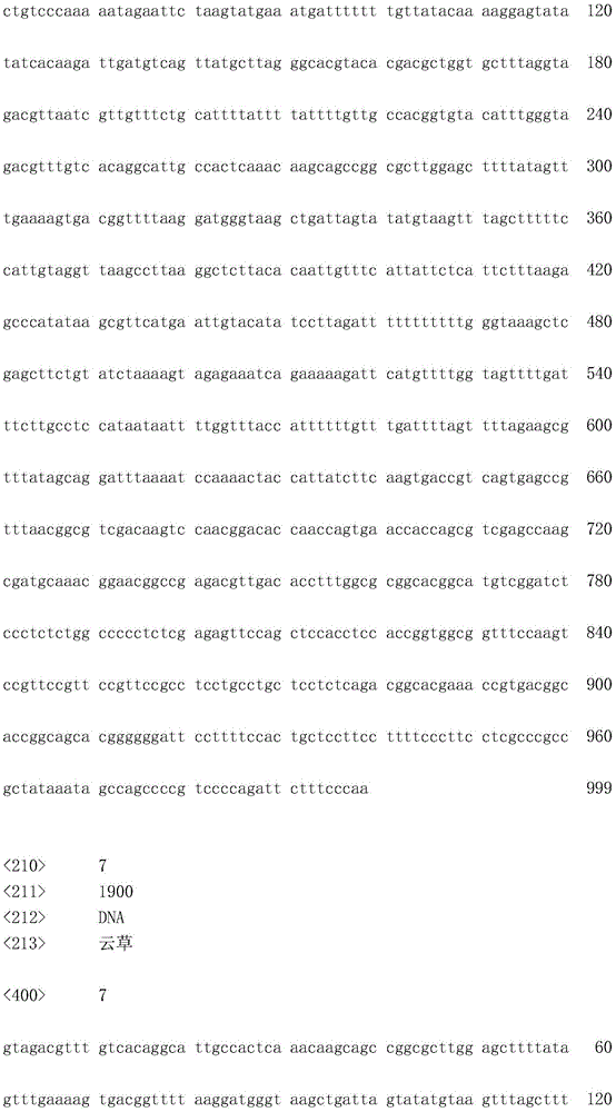 Figure IDA0001706936810000091