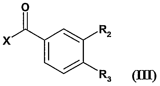 Figure imgf000011_0002