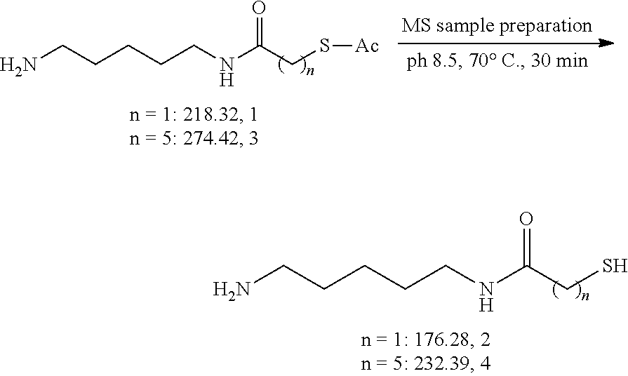 Figure US20130189287A1-20130725-C00036