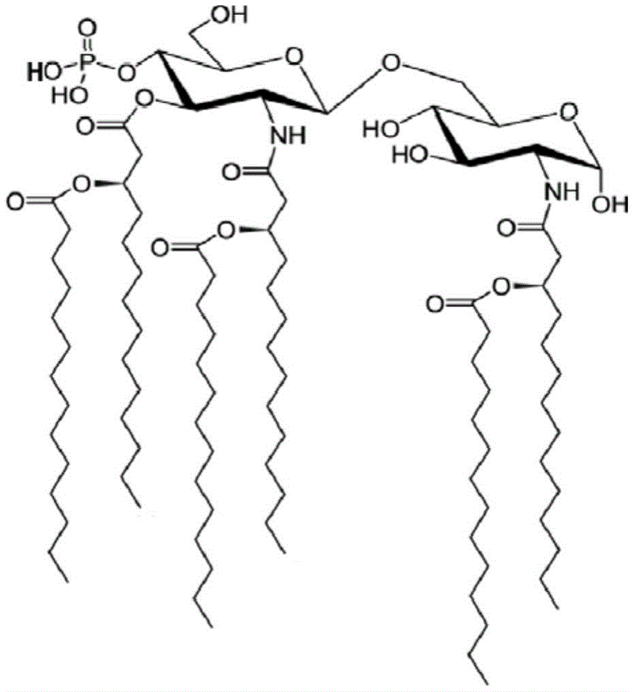 Figure BDA0003392355290000401
