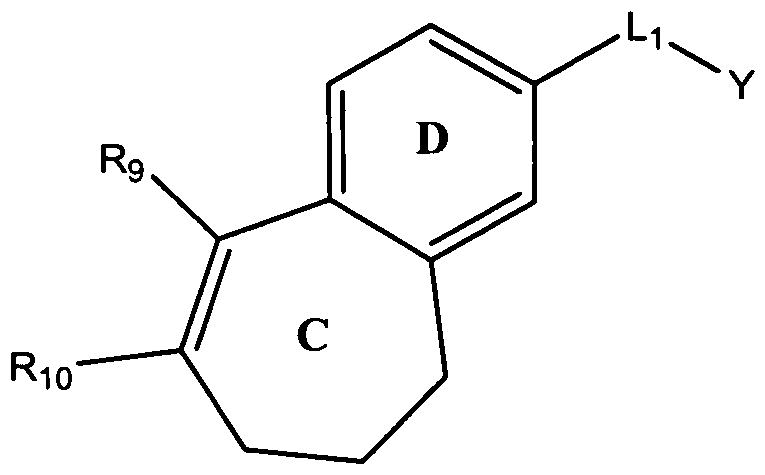 Figure imgf000006_0001
