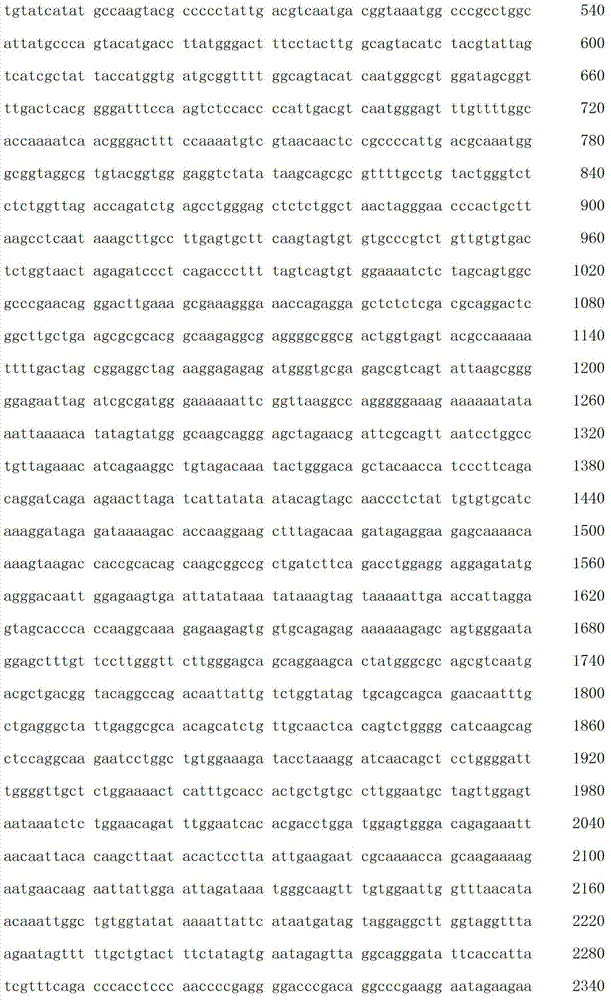 Figure IDA00003076741800461