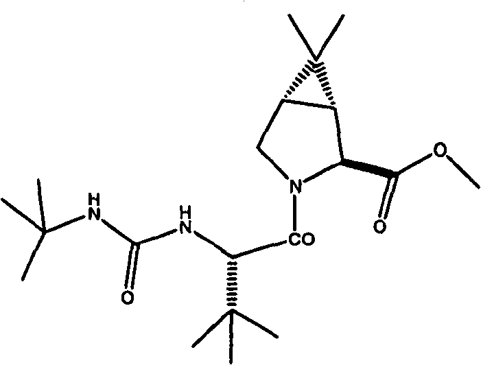 Figure FSB00001007621000031