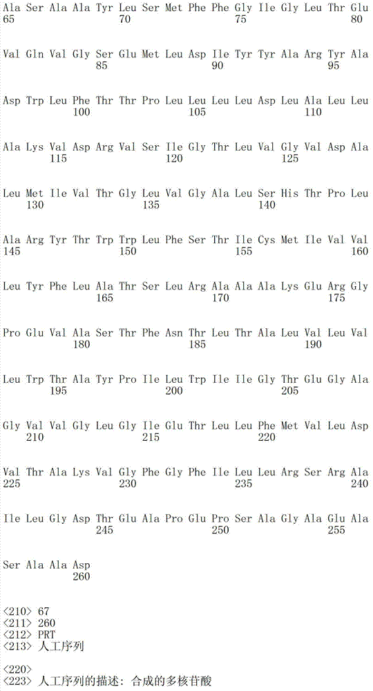 Figure IDA00003076741800771