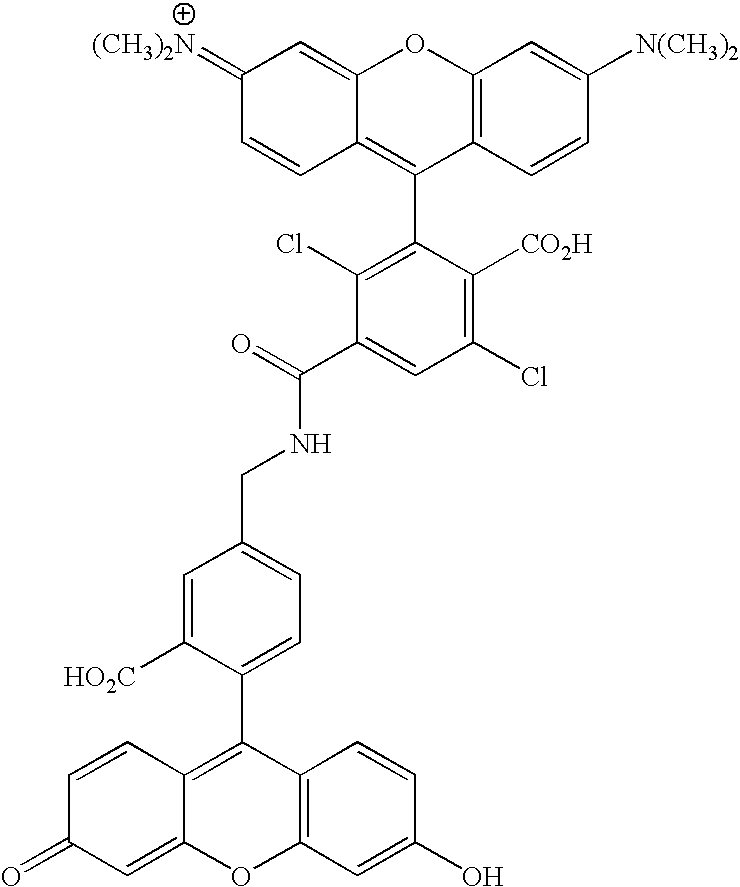 Figure US20070154927A1-20070705-C00093