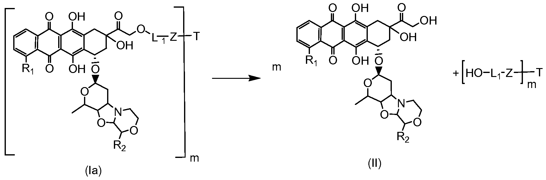 Figure imgf000031_0002