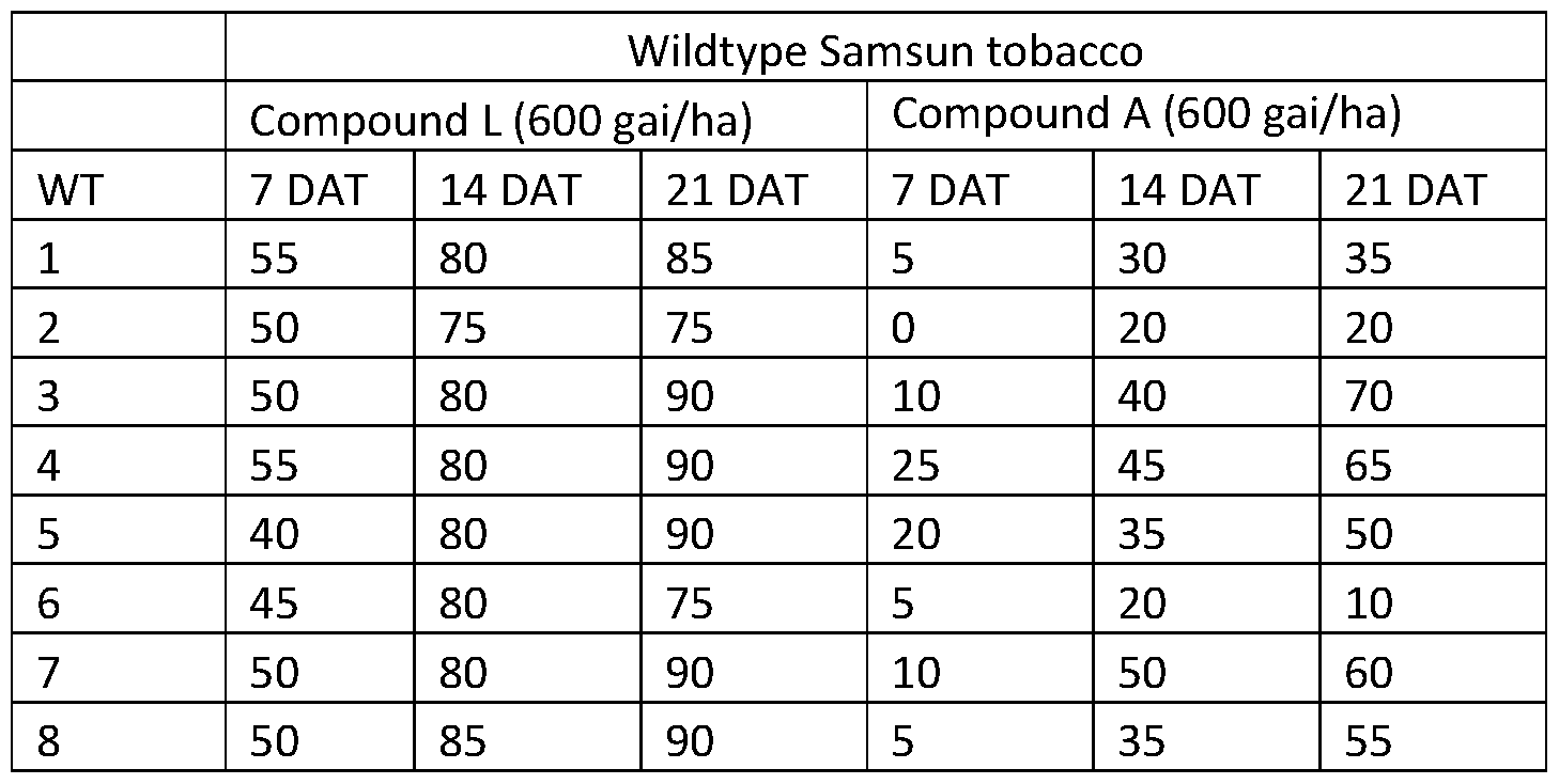 Figure imgf000209_0002