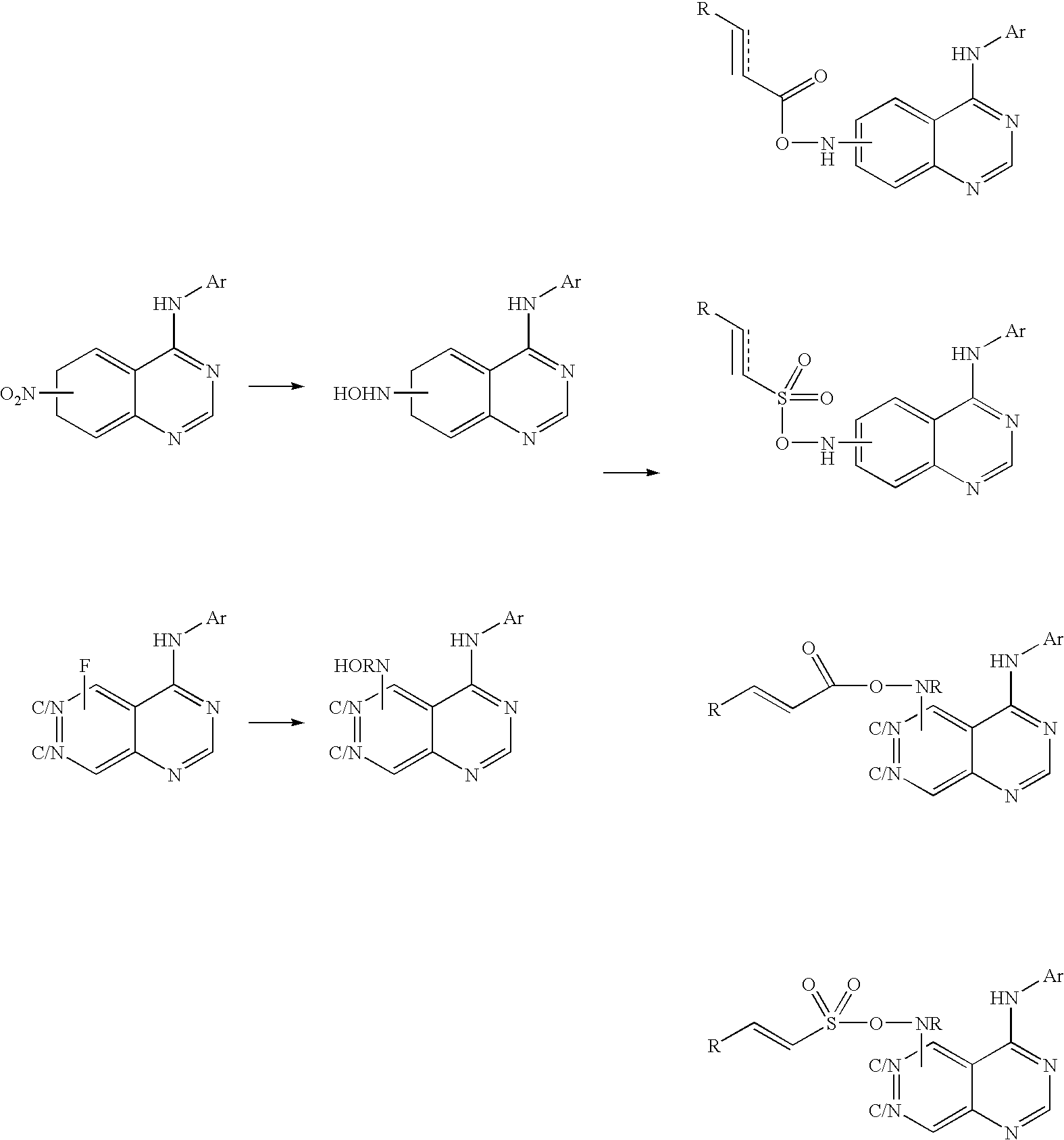 Figure US20030229051A1-20031211-C00062