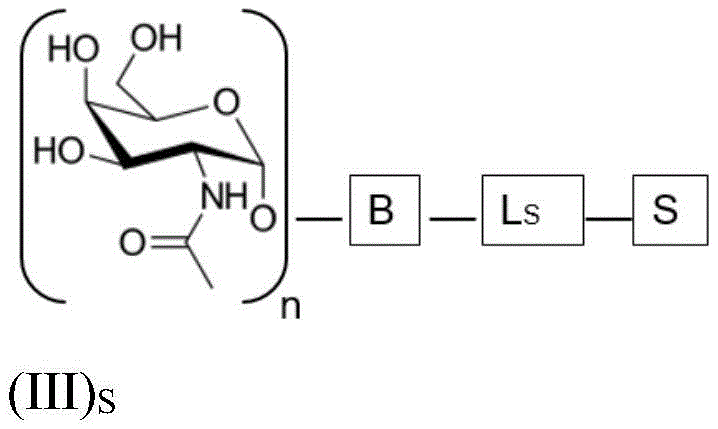 Figure BDA0004086040580000181