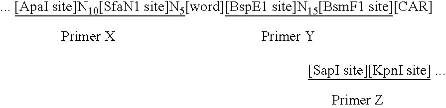 Figure US20060177832A1-20060810-C00001