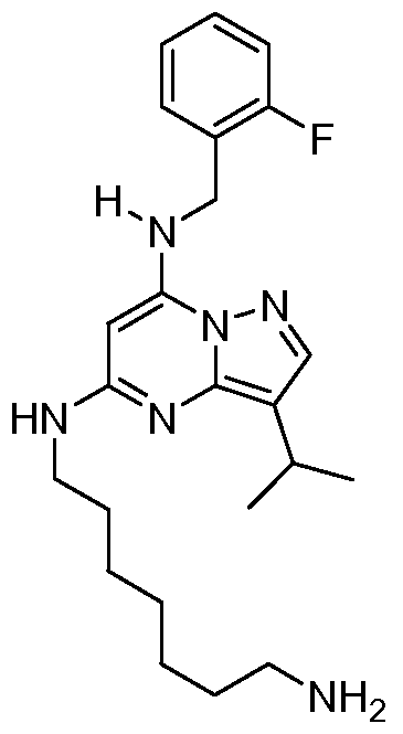 Figure imgf000175_0002