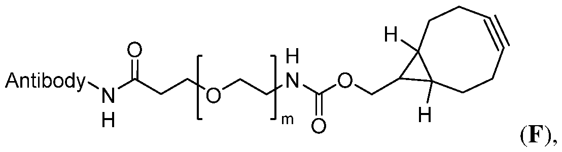 Figure imgf000036_0003