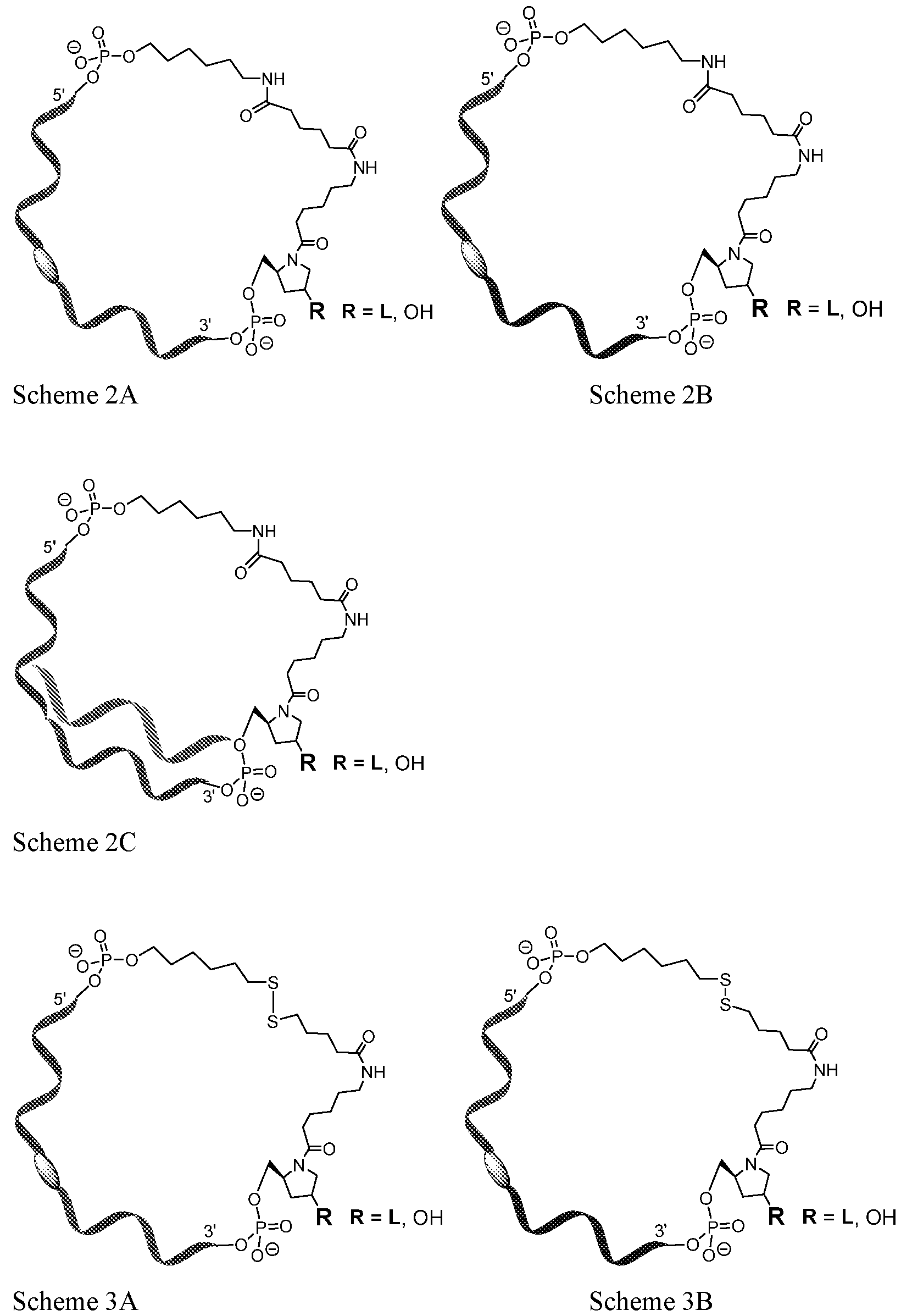 Figure imgf000027_0001