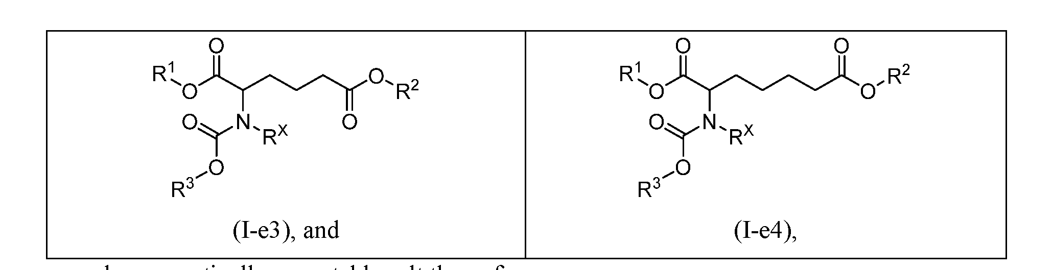 Figure imgf000012_0001