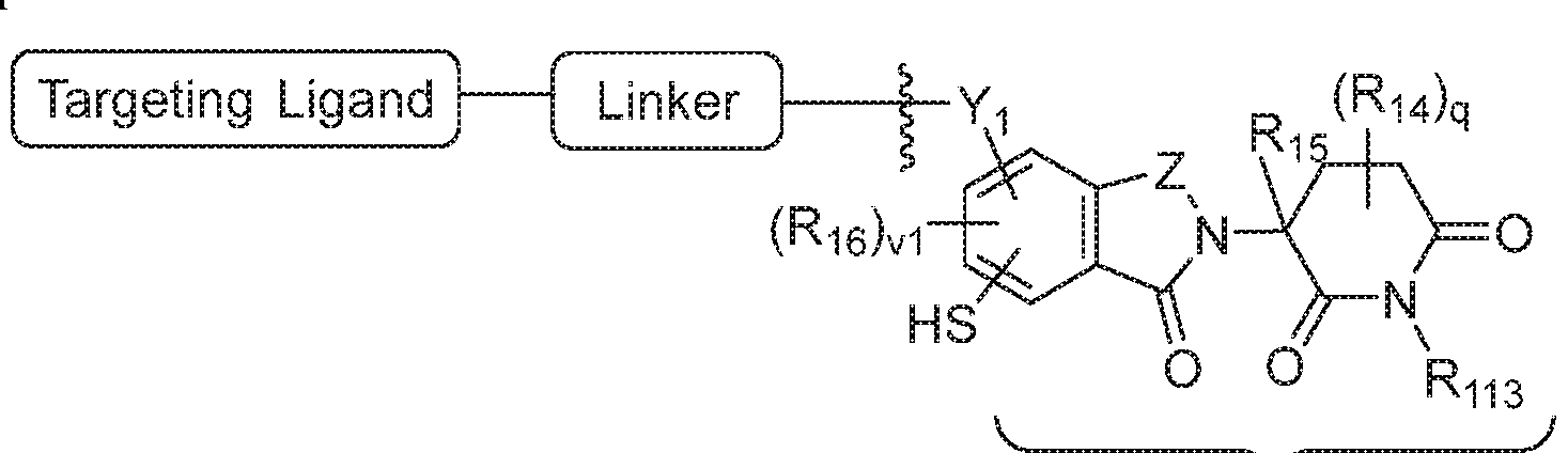 Figure imgf000016_0001