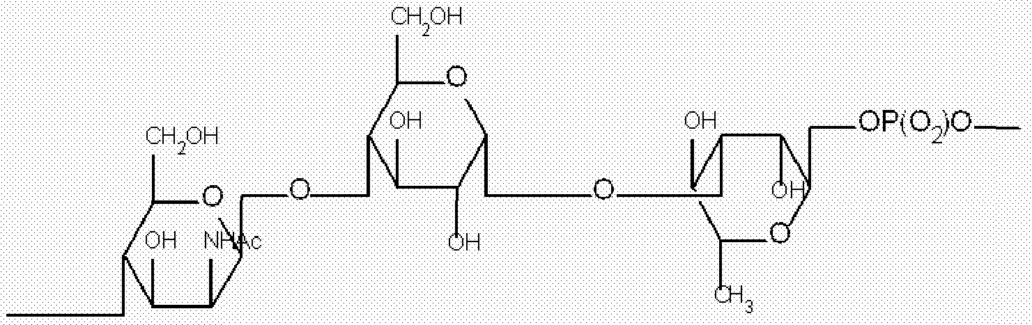 Figure imgf000008_0003