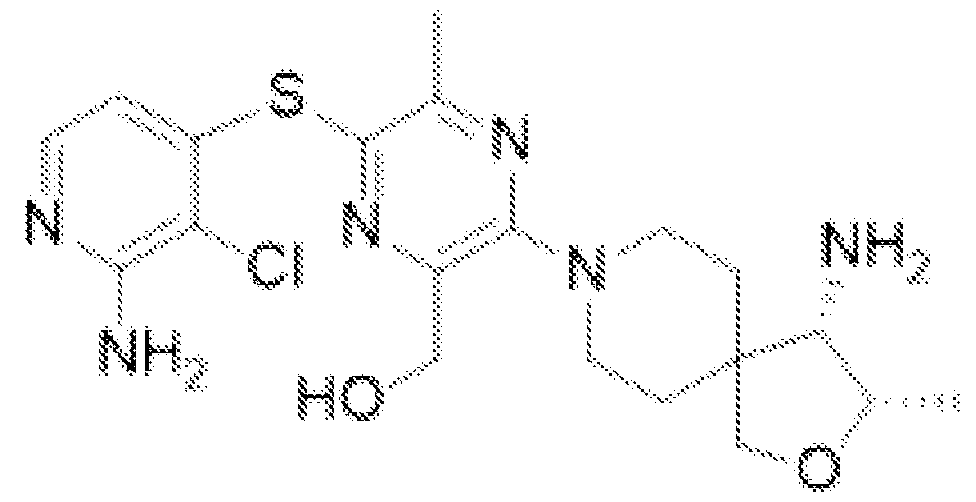 Figure imgf000004_0001