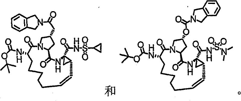 Figure FSB00000517652500041