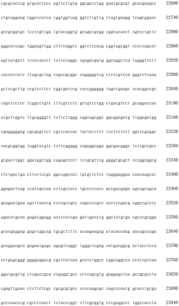 Figure IDA0002872168960001211