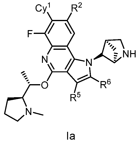 Figure imgf000009_0001