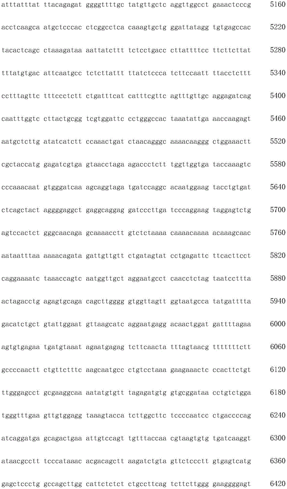 Figure IDA0003936212790000971