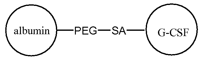 Figure imgf000148_0003