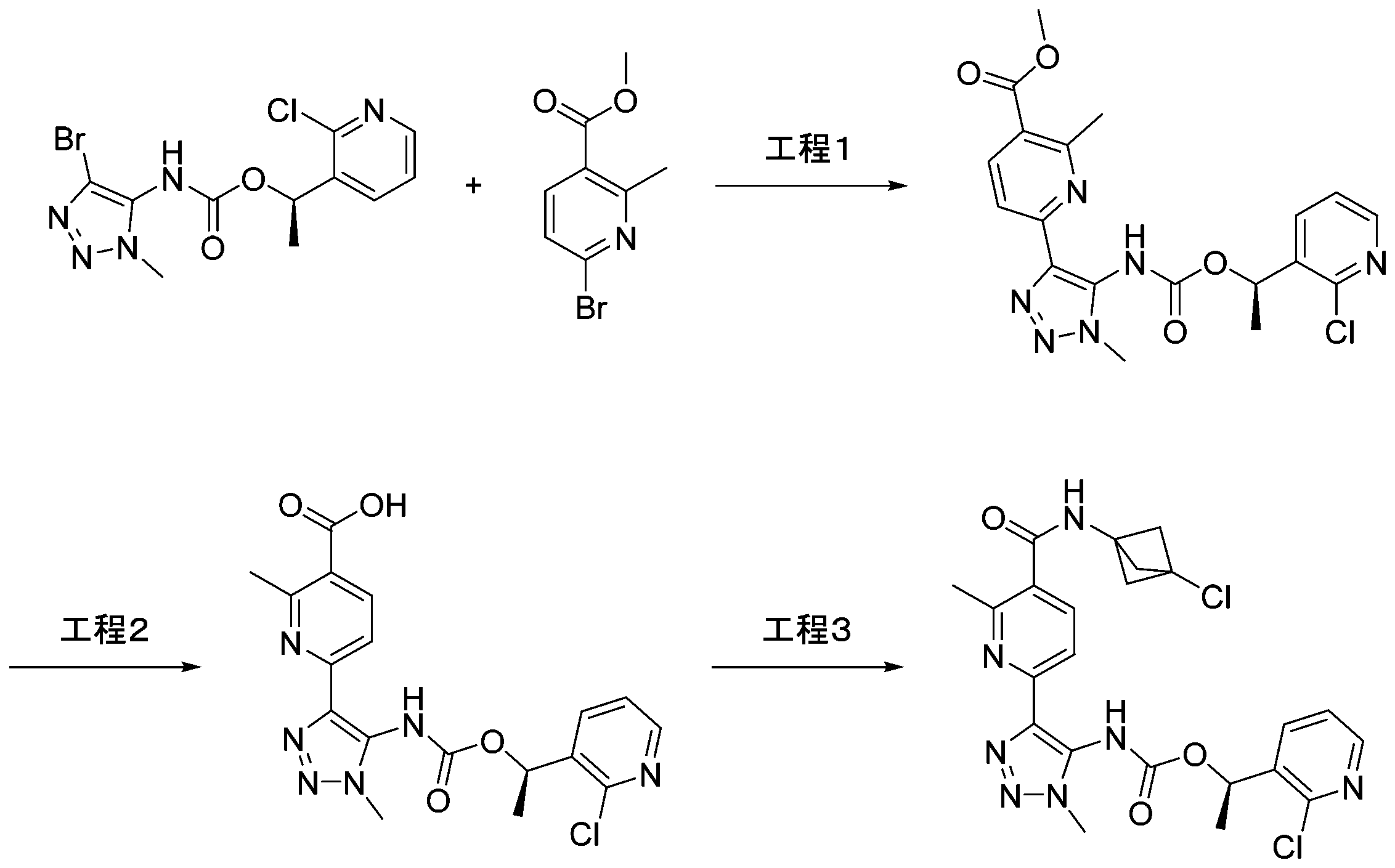 Figure 0007691522000063