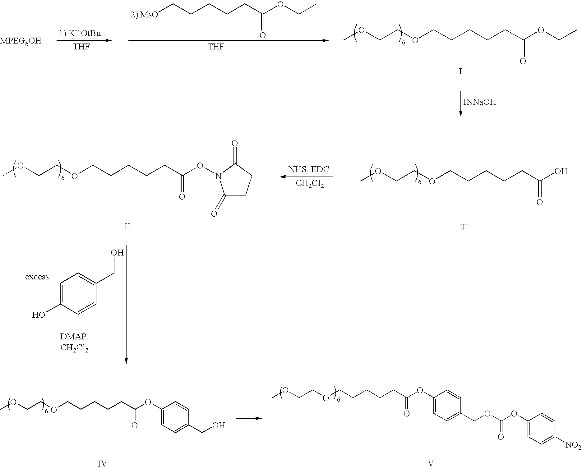 Figure US20080207505A1-20080828-C00044