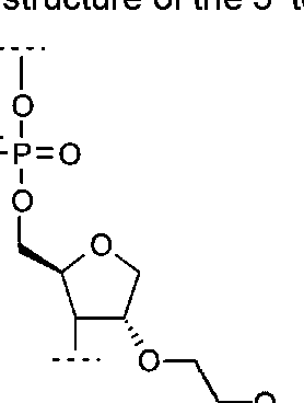 Figure imgf000045_0001