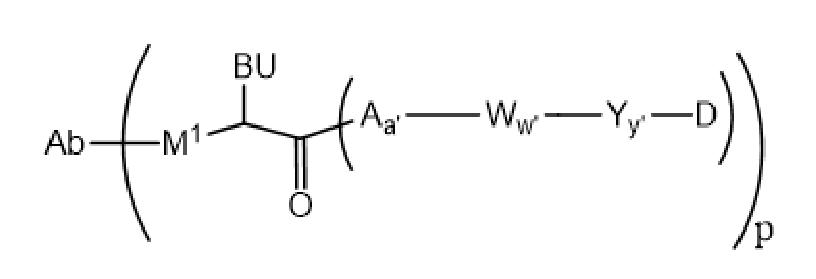 Figure 0007014856000098